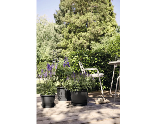 Drie plantenbakken met schotel en beplanting op een houten terras met tuinmeubelen op de achtergrond.