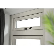 AXA Combi-raamuitzetter AXAflex security RVS zwart