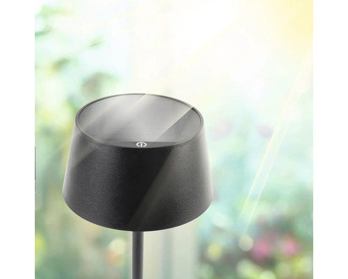 Zwarte solar tuinlamp