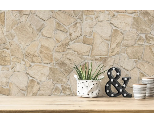 Wandbekleding met steenmotief, plant in een pot en decoratief teken