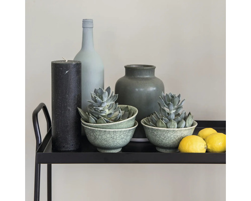 Decoratie op een zwarte serveerwagen met kaars, fles, vaas, vetplanten in schalen en citroenen.