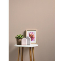 Decoratie op een tafel: een vetplant, huisdecoraties en een ingelijste bloemenfoto