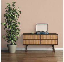 Decoratief interieur met kamerplant, dressoir en platenspeler