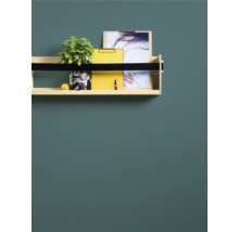 Houten wandplank met plant, citroen en documenten