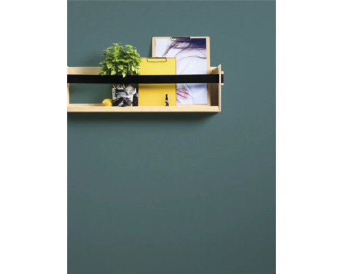 Houten wandplank met plant, citroen en documenten