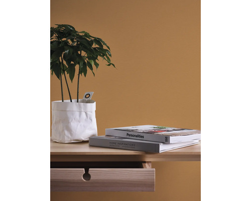 Decoratieve kamerplant in witte papieren zak naast boeken op een nachtkastje