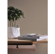 Decoratief interieur met plant, boeken en commode