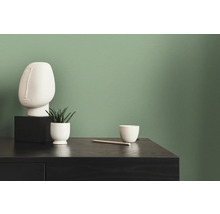 Decoratief wit beeld, kamerplant en schaal op een zwart dressoir voor een groene wand
