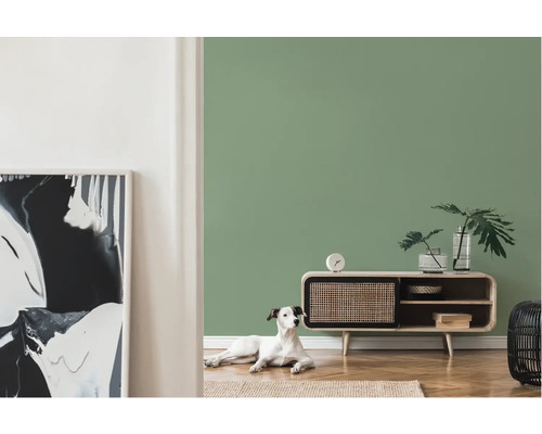 Woonkamer met dressoir, kamerplanten, abstracte kunst en hond