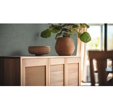 Dressoir met gevlochten patroon aan de voorkant, met daarop een schaal en een pot met een plant