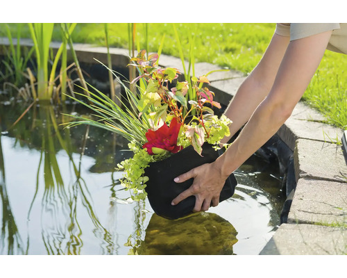 Persoon plaatst een vijvermand met planten in een tuinvijver