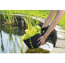 UBBINK Vijverplantzakje 30x30x25 cm, 2 st