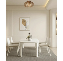 Eetkamer met eettafel, stoelen en plafondlamp