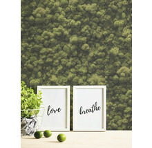 Decoratieve moswanddecoratie met fotolijsten en plant in mand