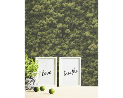 Decoratieve moswanddecoratie met fotolijsten en plant in mand