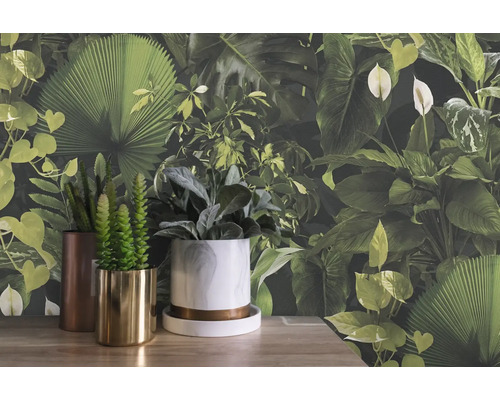 Decoratieve kamerplanten in plantenbakken voor een botanisch bladbehang