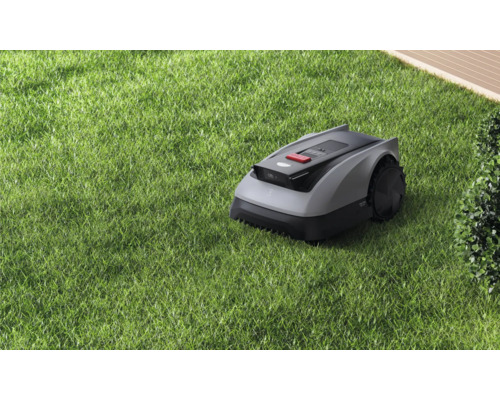 Robotmaaier op een gazon