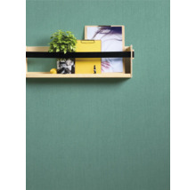 Wandrek met plant, mappen en afbeeldingen