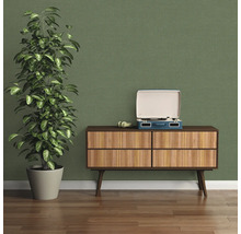 Decoratief interieur met dressoir, platenspeler en kamerplant voor een groene muur