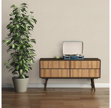 Decoratief interieur met kamerplant, ladekast en platenspeler
