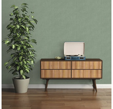 Decoratief interieur met dressoir, kamerplant en platenspeler voor een gezellige sfeer