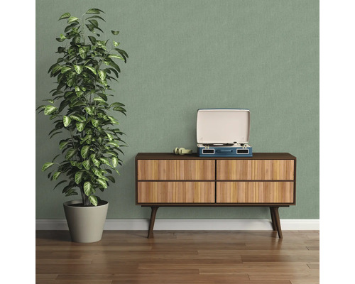 Decoratief interieur met dressoir, kamerplant en platenspeler voor een gezellige sfeer