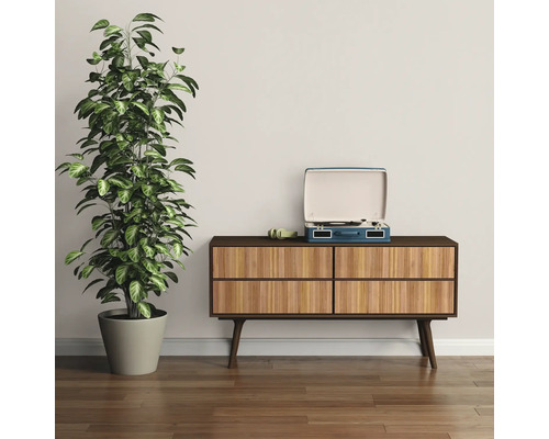 Kamerplant in pot naast dressoir met platenspeler