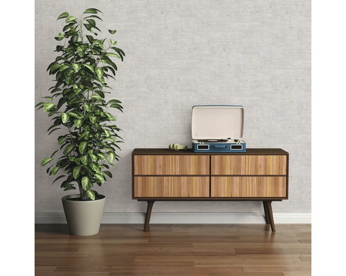 Decoratieve kamer met plant, dressoir en platenspeler voor een gezellige sfeer