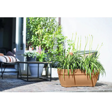 Beige plantenbak met beplanting voor buiten.