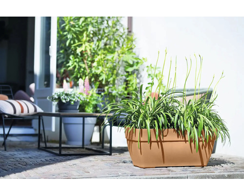 Beige plantenbak met beplanting voor buiten.