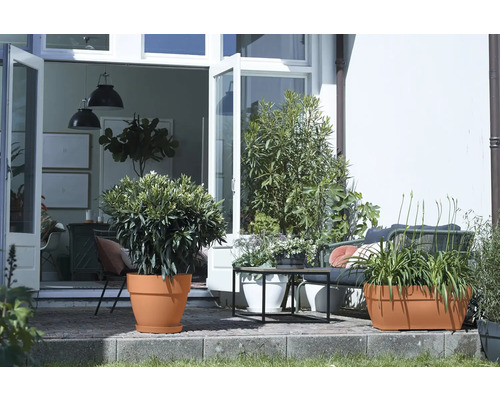 Terras met planten in plantenbakken, zitplaatsen en een open toegang tot het huis.