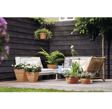 ELHO Bloempot Vibia Campana Kunststof bruin Ø 34 cm H 17,5 cm