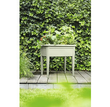 Kunststof plantenbak met planten op een houten terras voor een groene haag