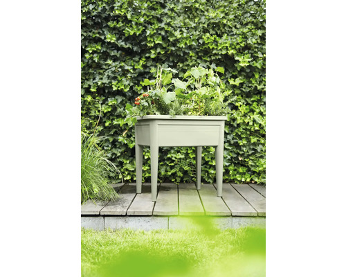 Kunststof plantenbak met planten op een houten terras voor een groene haag