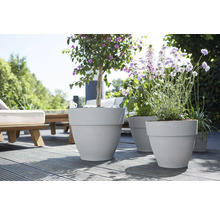 Bloempotten met beplanting op een terras
