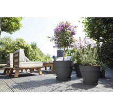 Scene met tuinmeubelen en planten in bloempotten op een houten terras