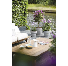 Decoratieve buitenruimte met zitplaatsen, tafel en beplante plantenbakken