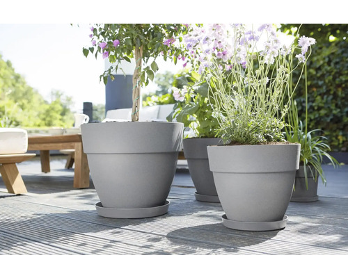 Kunststof bloempotten met planten op een houten terras