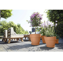 Terras met plantenbakken, tuinmeubelen en beplanting