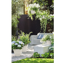 Decoratieve tuin met planten in bloempotten en hangmanden, zithoek met bank