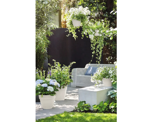 Decoratieve tuin met planten in bloempotten en hangmanden, zithoek met bank