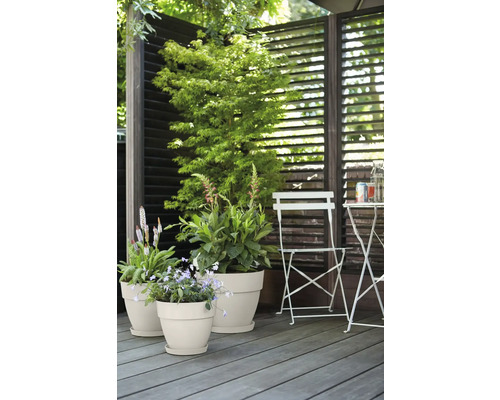 Terras met planten in plantenbakken, privacyscherm, tuintafel en tuinstoel