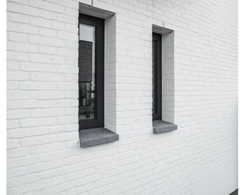 Gevel van een huis met twee ramen