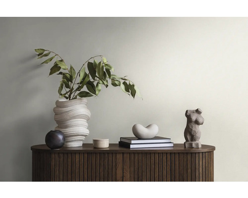 Decoratieve opstelling met een vaas, planten, boeken en sculpturen op een kast