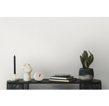 Decoratieve opstelling met kaars, sculptuur, klok, boeken en potplant op een zwarte plank
