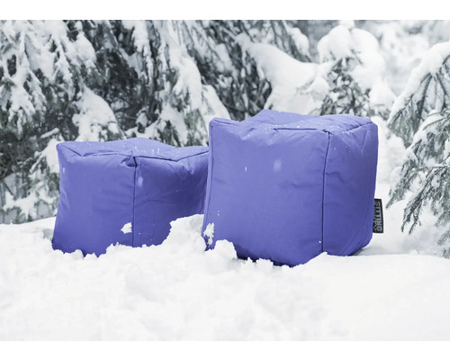 Twee zitzakken in de sneeuw voor een besneeuwde boom