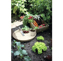 Groentetuin met radijs, wortels, sla en plantenschaal