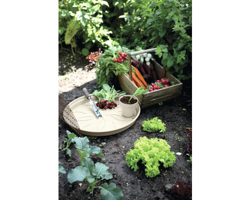 Groentetuin met radijs, wortels, sla en plantenschaal