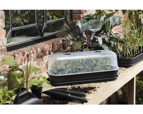 Kweekbak met potgrond en planten op een tafel in de tuin.