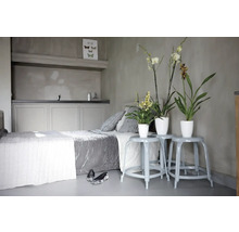 Slaapkamer met bed, nachtkastjes en kamerplanten